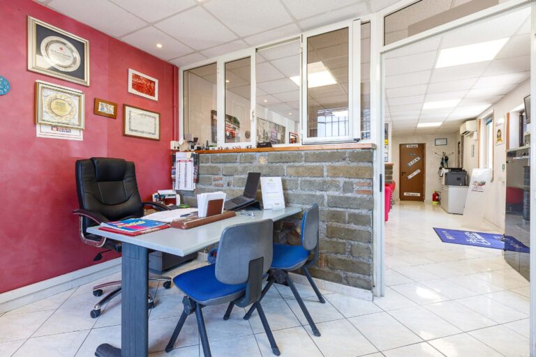 QUEEN CAR ANGUILLARA (8)